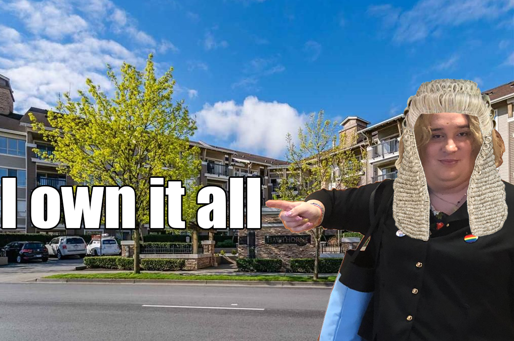 1603486681687.png