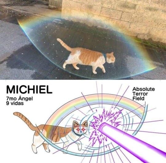 1606265582198.jpeg