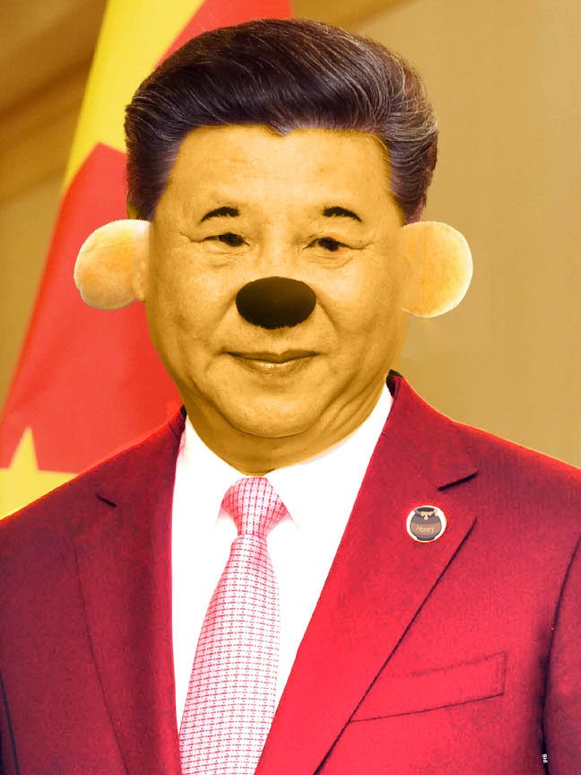 1607594530265.png
