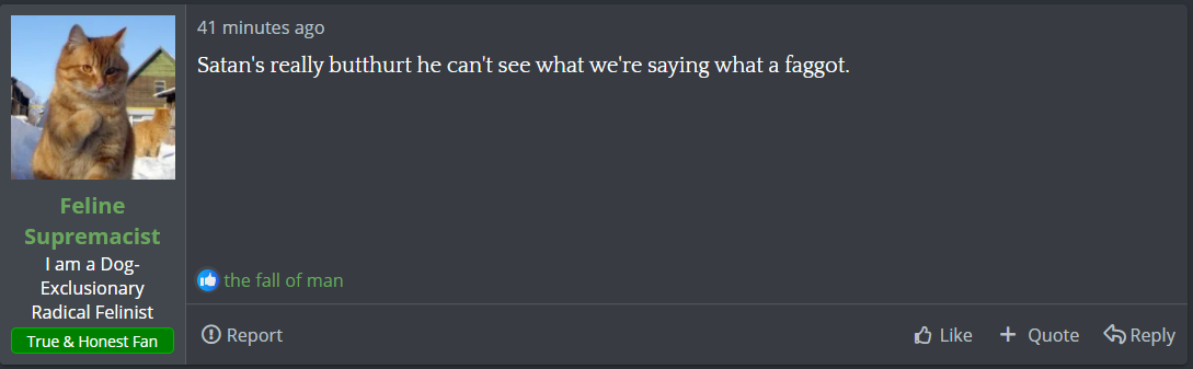 1608006788375.png