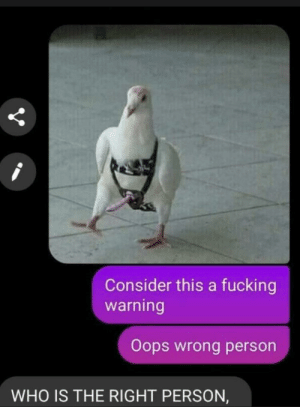 1611325485394.png