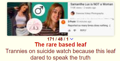 1611441527751.png