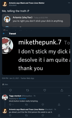 1611461343553.png