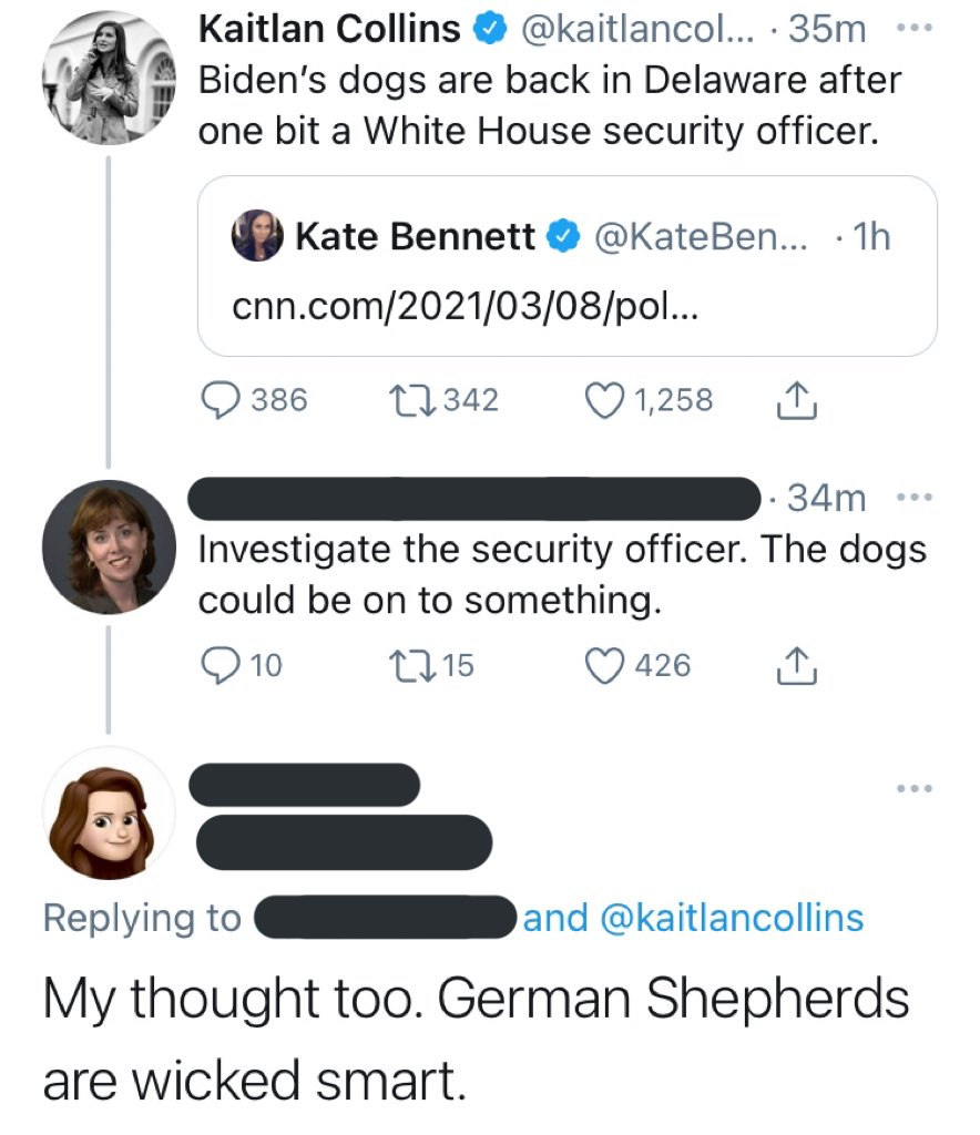 1615263863202.png