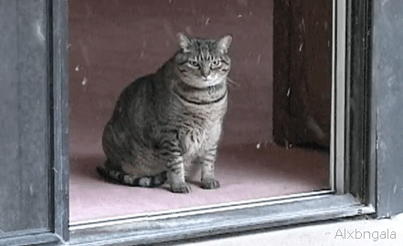 1616614940133.gif