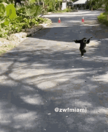 1618086221338.gif