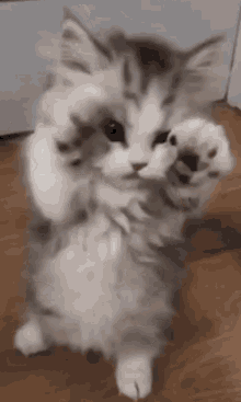 1618088311378.gif