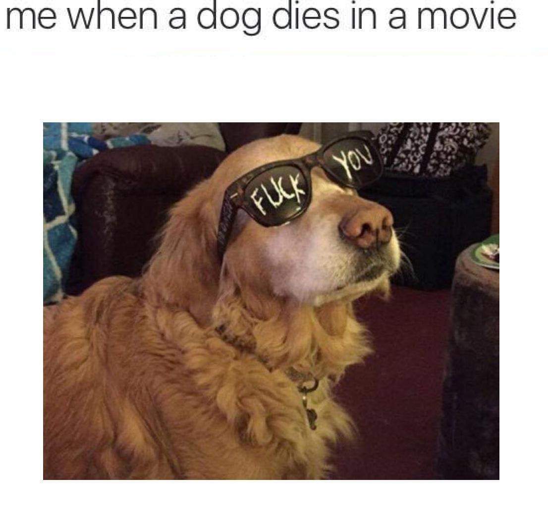 1618458178789.jpeg
