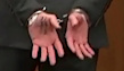 1619102294485.png