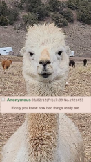 1619307980043.png
