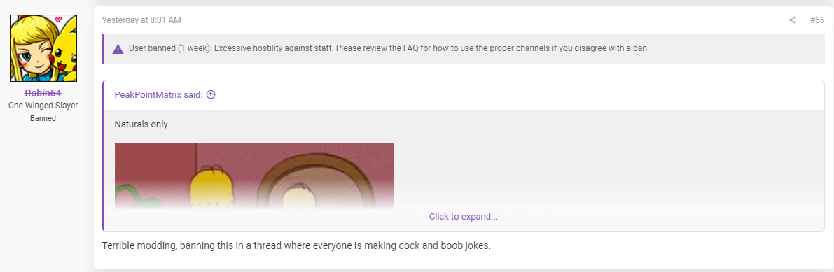1619337257211.png