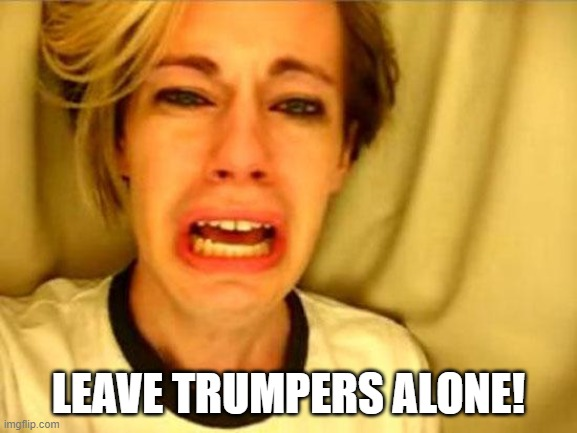 1620493293710.png
