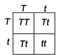 1621695385142.png