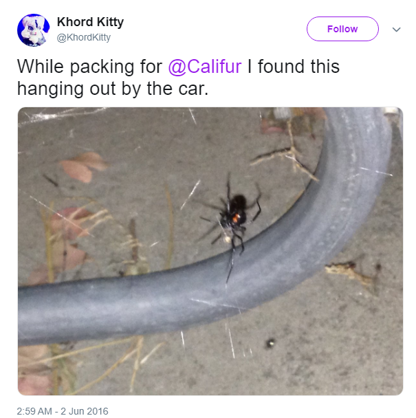 1621731592294.png
