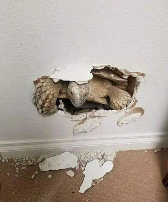 1623762050666.png