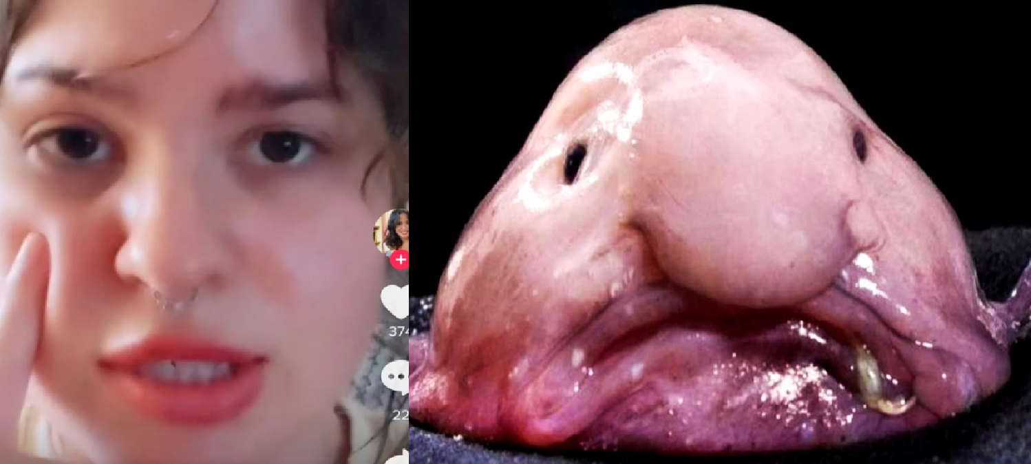 1624546289558.png