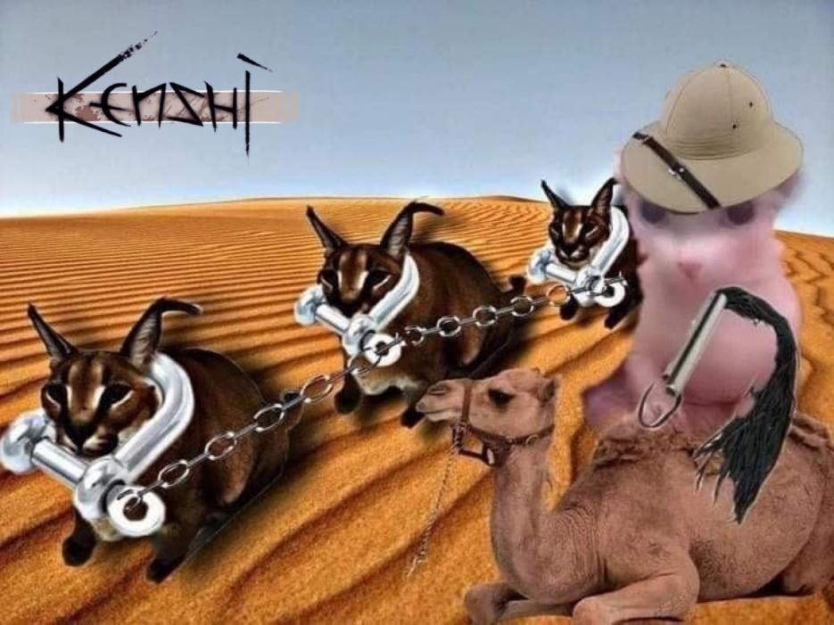 1624641323682.png