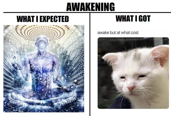 1625004079471.png