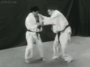 1625300706643.gif