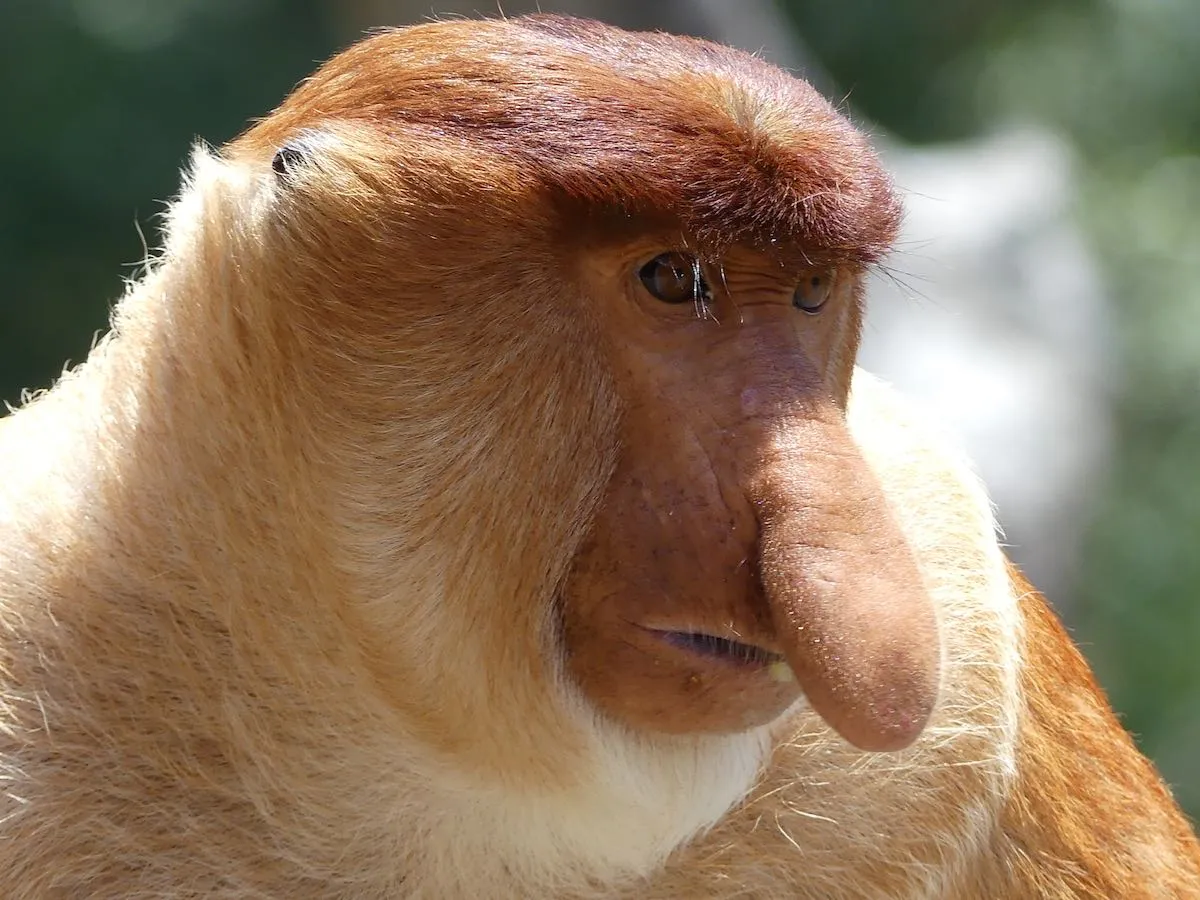 1625598723663.png