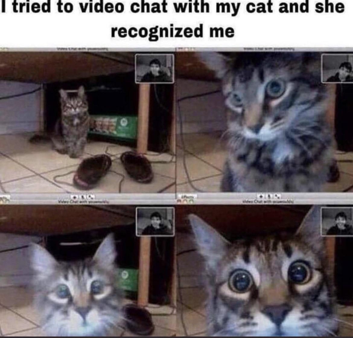 1626484159253.jpeg