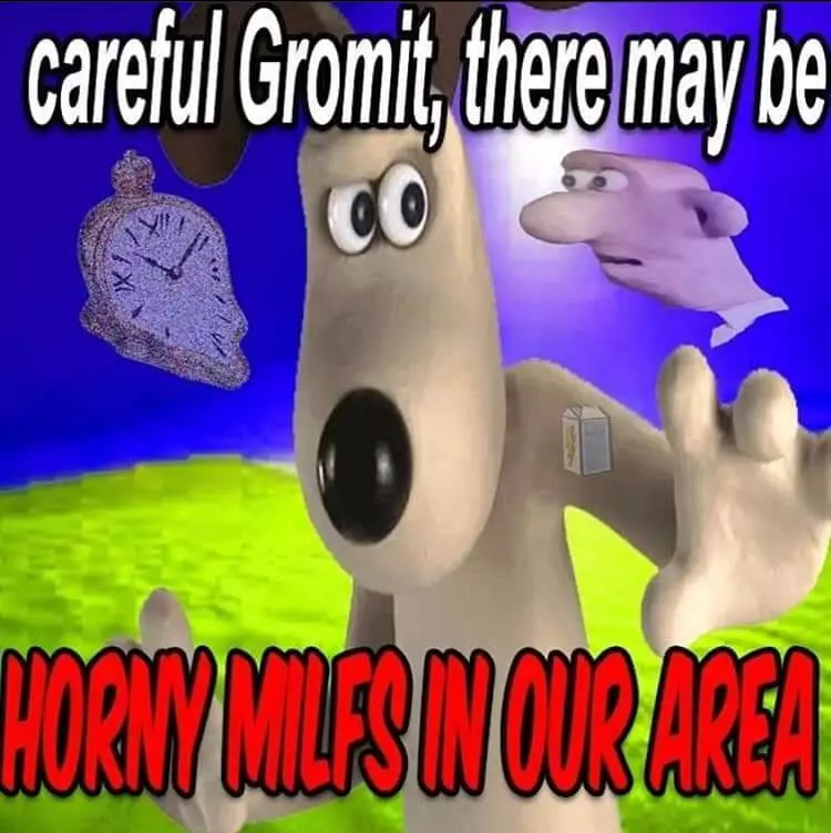 1626592916851.webp