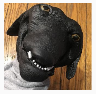 1628029340710.png