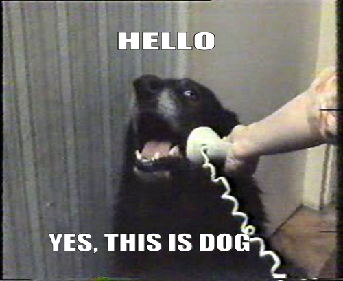 1628131530262.png