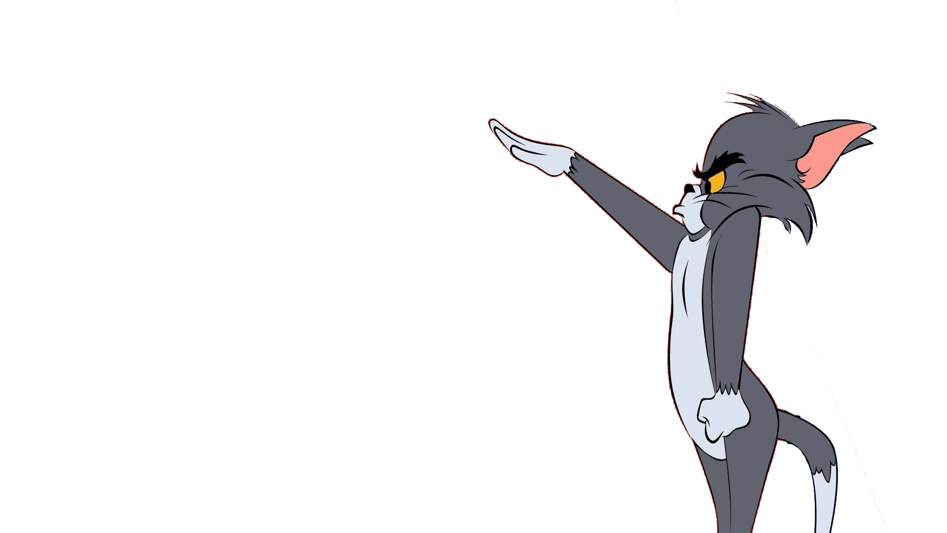 1628545619957.png