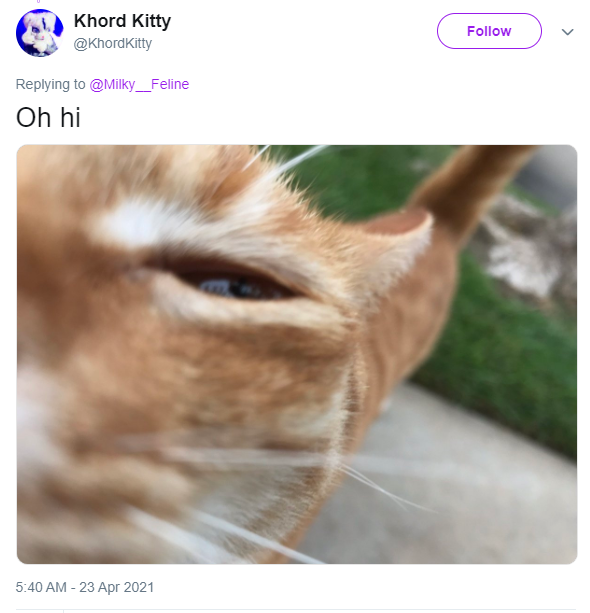 1628626434955.png
