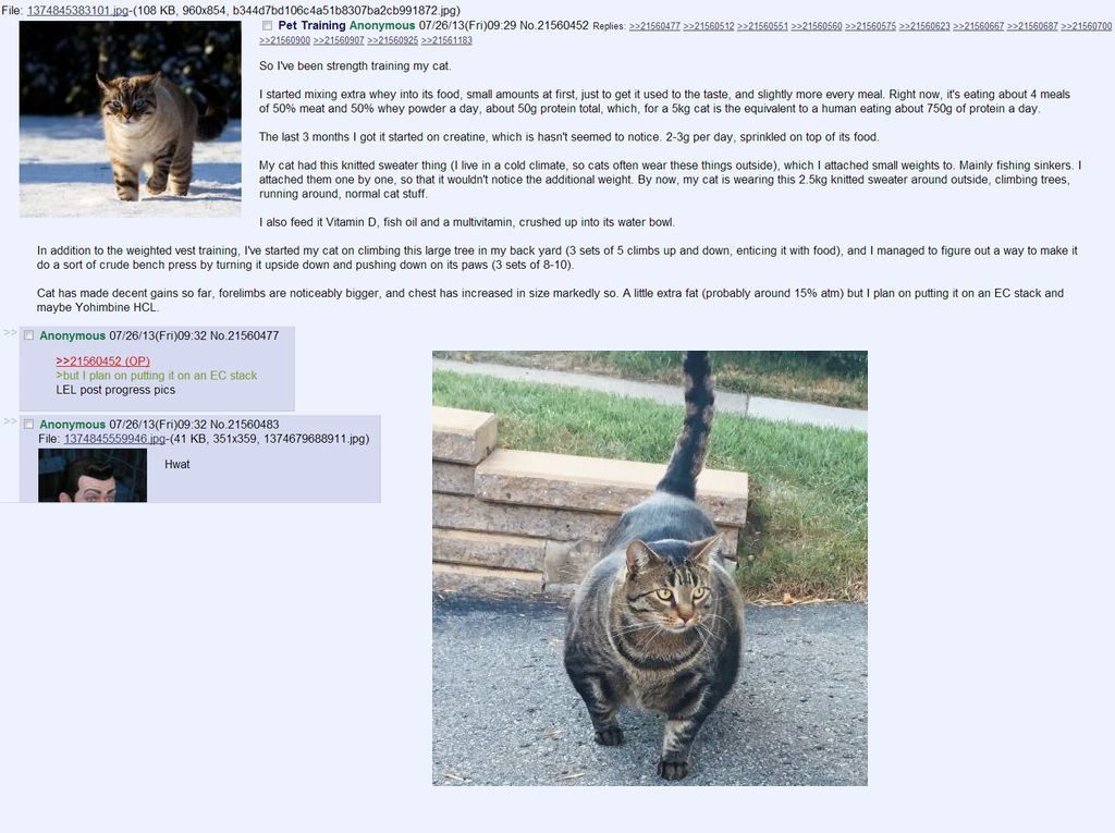 1628742505686.png