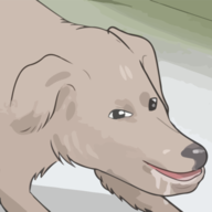 1628817721523.png