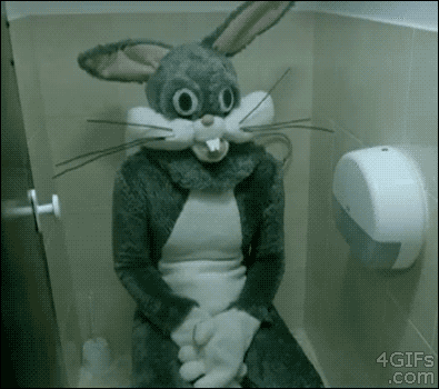 1629006017429.gif
