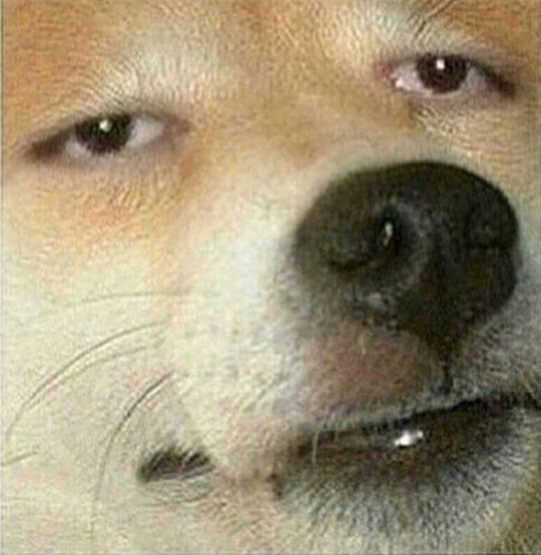 1629123799261.png