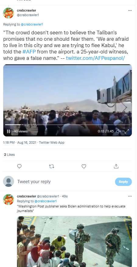 1629138035197.png