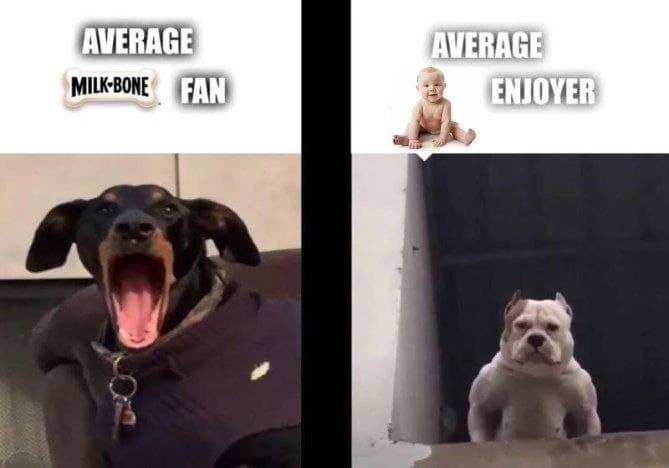1629643961097.png
