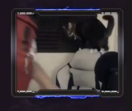 1629662022654.png
