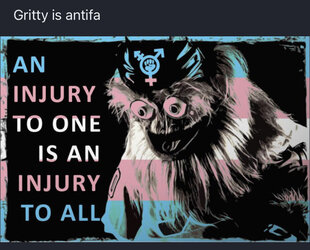1629818557346.png