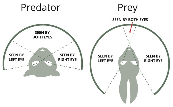 1630247431020.png