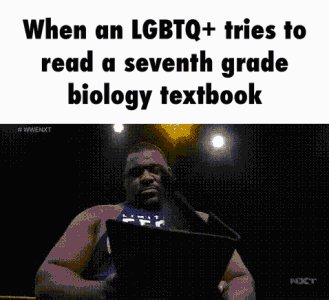 1630343721762.gif