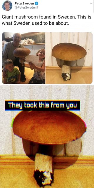 1630615224897.png