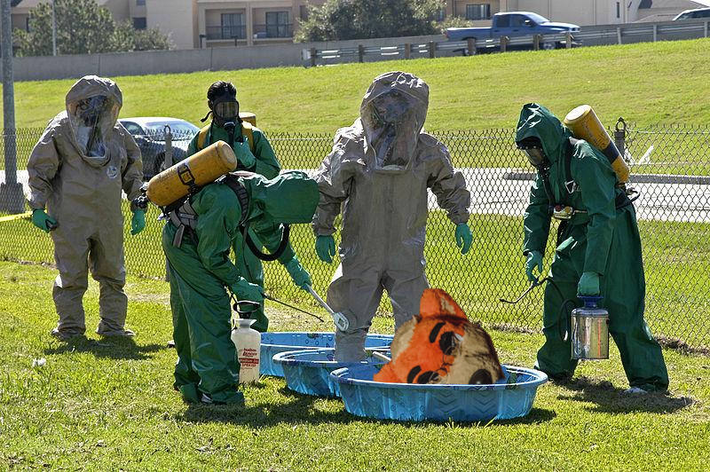 16309.jpg