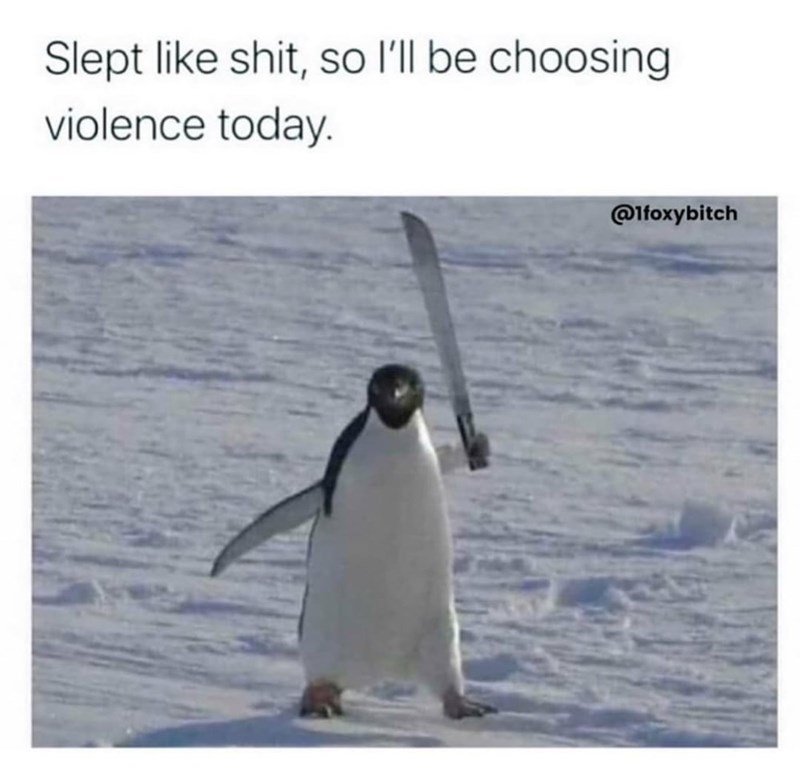 1632108146719.jpeg