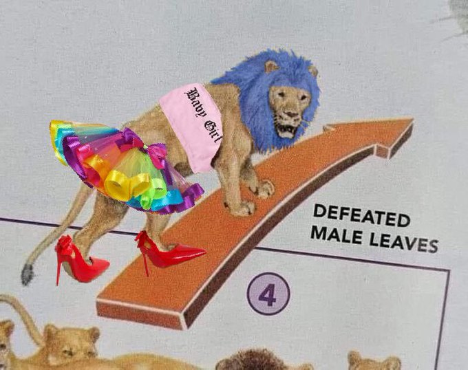 1633416578041.png