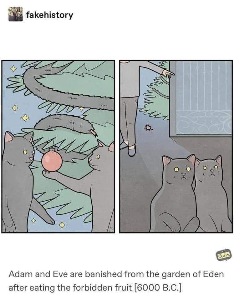 1637191515037.jpg