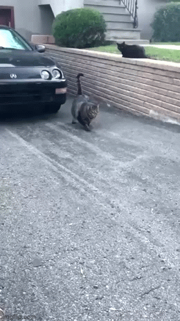 1637798884553.gif