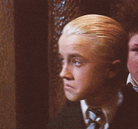 1637892619086.gif
