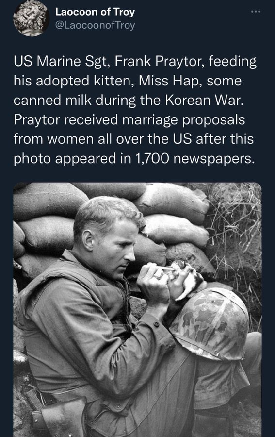 1638732279748.png