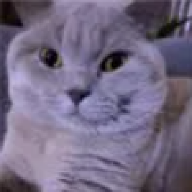 163884.png