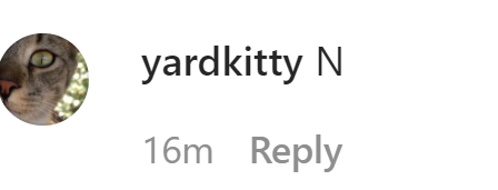1639716063348.png